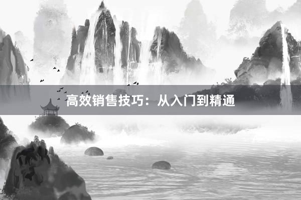 高效销售技巧：从入门到精通